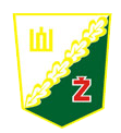 logo zalgiris